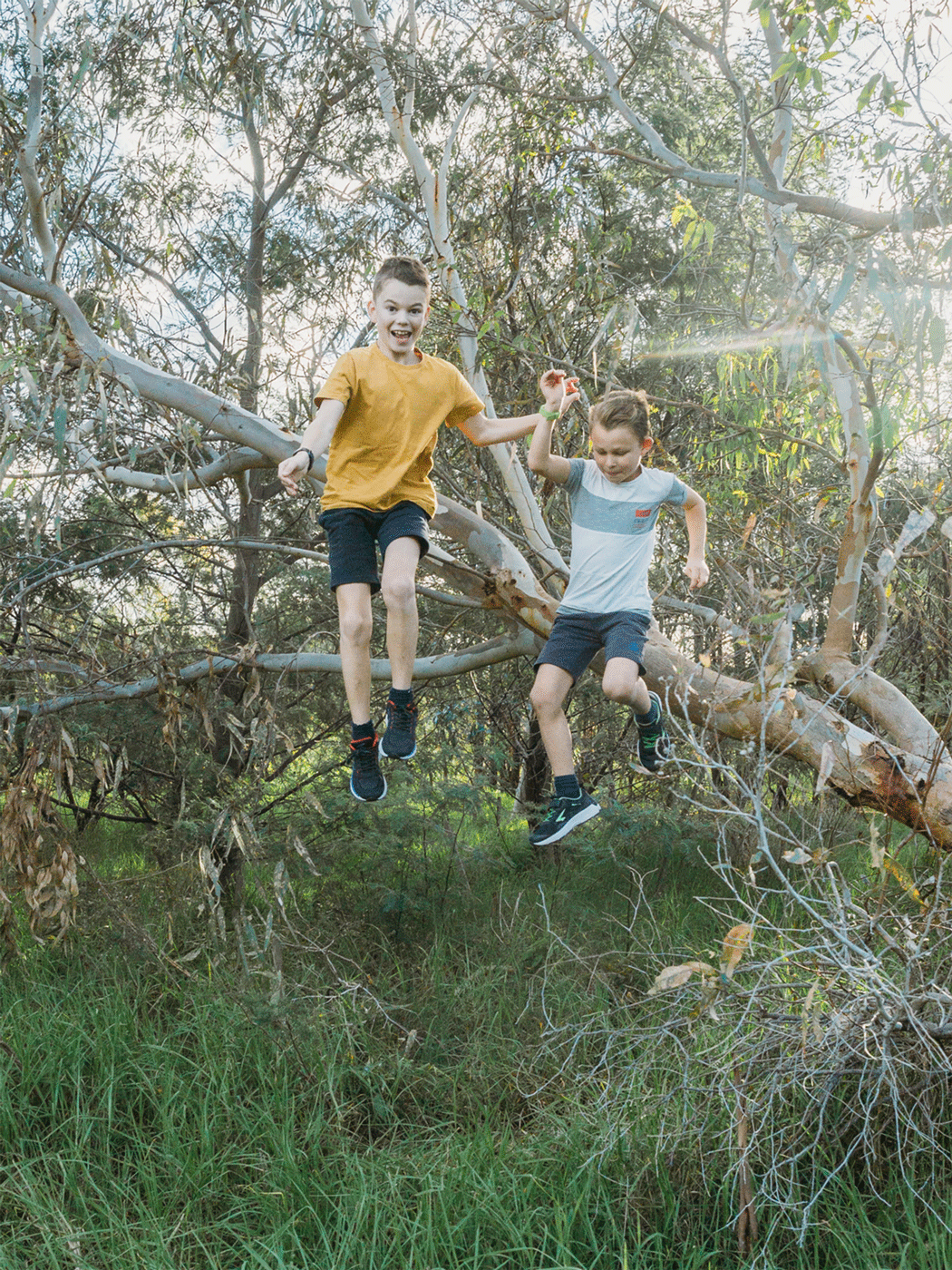 Michelle_Shrives_Photography_Tree_Jumpers